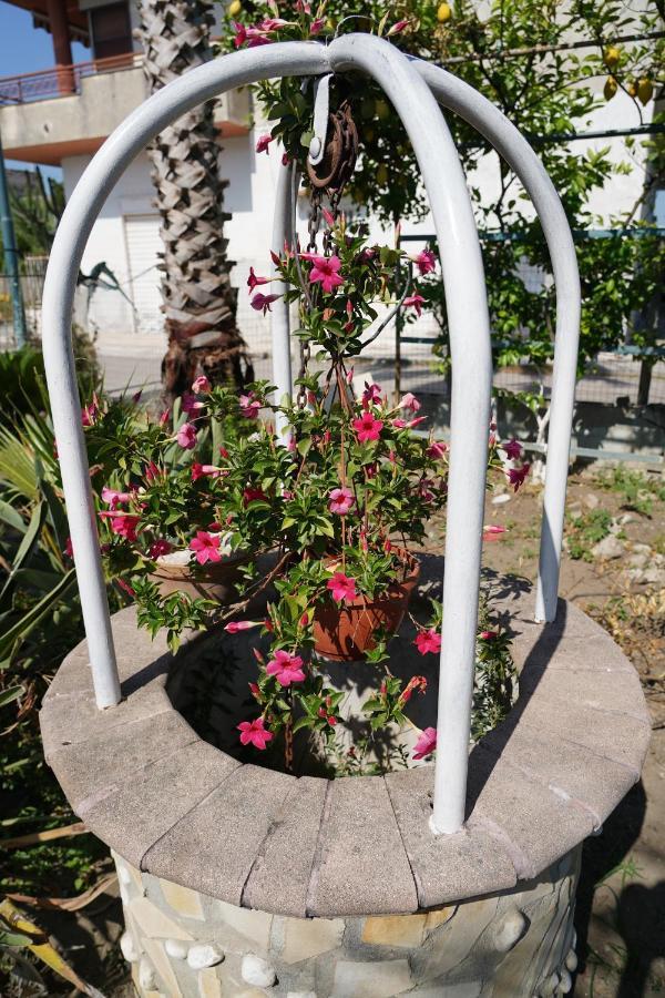 B&B Ciro Pompei Dış mekan fotoğraf